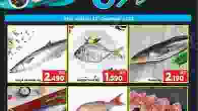 el3rod.com00001-332