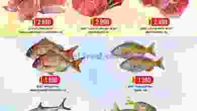 el3rod.com00001-352