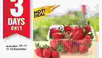 el3rod.com00001-356