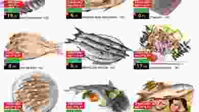 el3rod.com00001-38