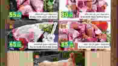 el3rod.com00001-386