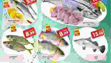 el3rod.com00001-401