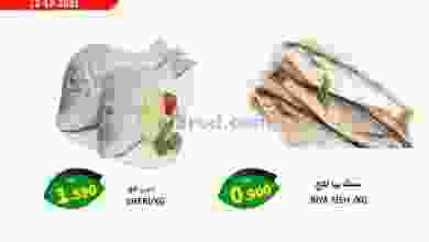 el3rod.com00001-414
