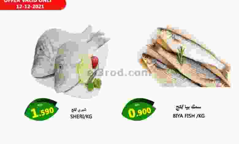 el3rod.com00001-414