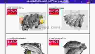 el3rod.com00001-421