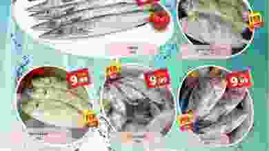 el3rod.com00001-435