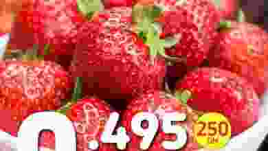 el3rod.com00001-453
