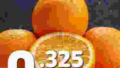el3rod.com00001-506