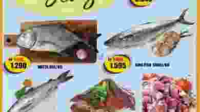 el3rod.com00001-509