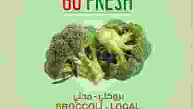 el3rod.com00001-550