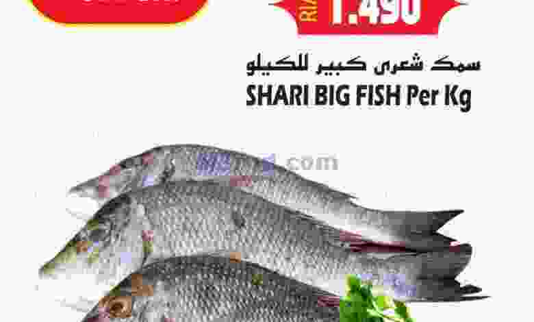 el3rod.com00001-574