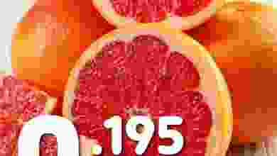 el3rod.com00001-578