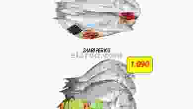 el3rod.com00001-615
