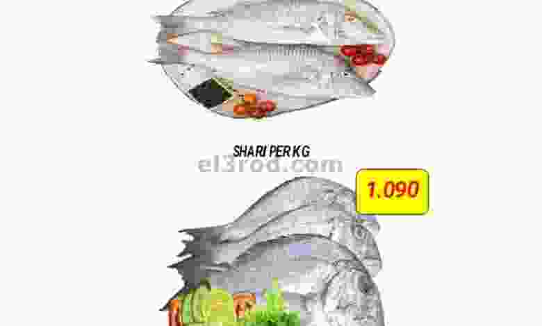 el3rod.com00001-615