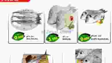 el3rod.com00001-685