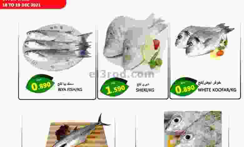 el3rod.com00001-685