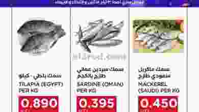 el3rod.com00001-711
