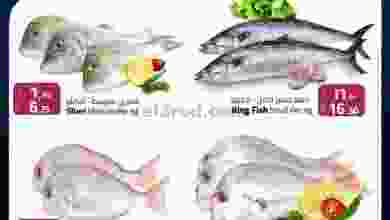 el3rod.com00001-716