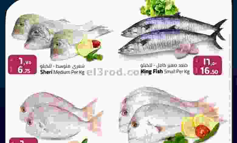 el3rod.com00001-716