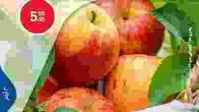 el3rod.com00001-720