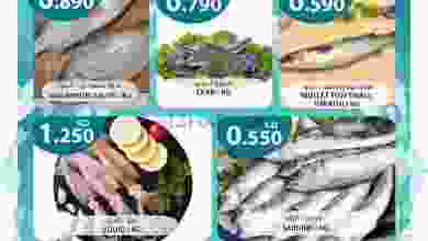 el3rod.com00001-743