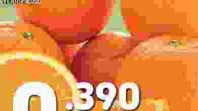 el3rod.com00001-789