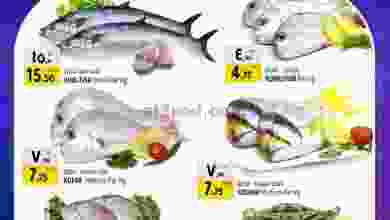 el3rod.com00001-813