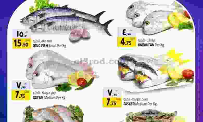 el3rod.com00001-813