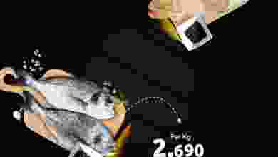 el3rod.com00001-922