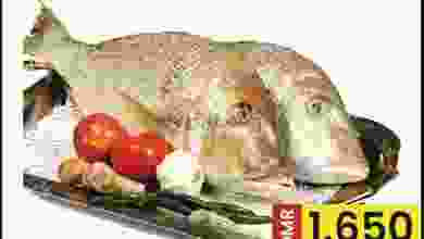 el3rod.com00001-99