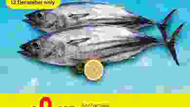 el3rod.com00002-363