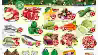 el3rod.com00002-770
