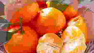 el3rod.com00002-947