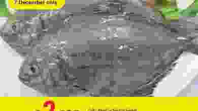 el3rod.com00003-144