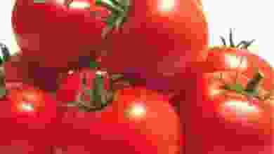 el3rod.com00003-793