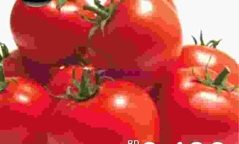 el3rod.com00003-793