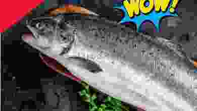 el3rod.com00004-684