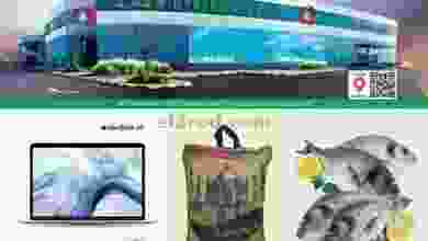 el3rod.com00006-360