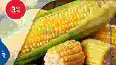 el3rod.com00007-58