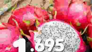 el3rod.com00008-256