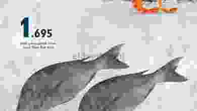 el3rod.com00001-11