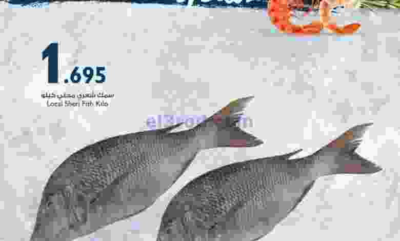 el3rod.com00001-11