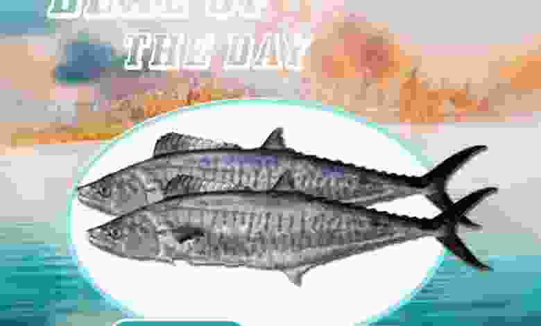 el3rod.com00001-1142