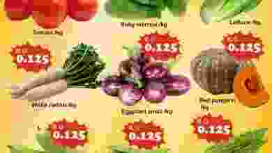 el3rod.com00001-115