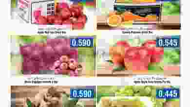 el3rod.com00001-1163