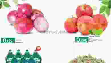 el3rod.com00001-1261