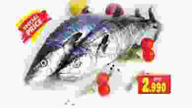 el3rod.com00001-1269