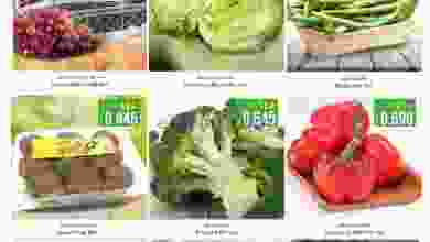 el3rod.com00001-1345