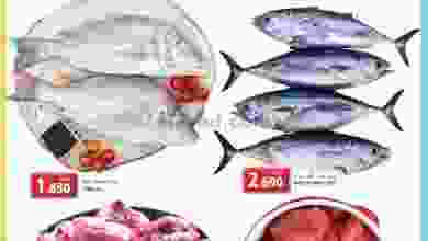 el3rod.com00001-1348