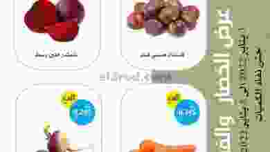 el3rod.com00001-148